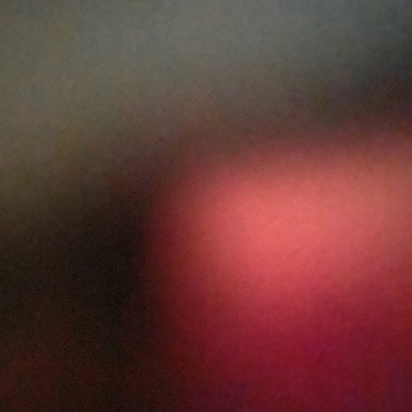 Meet your Posher, Ariana - Picture 1 of 1